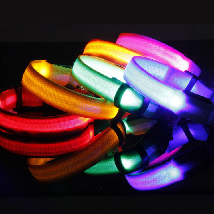 LED Hundehalsband