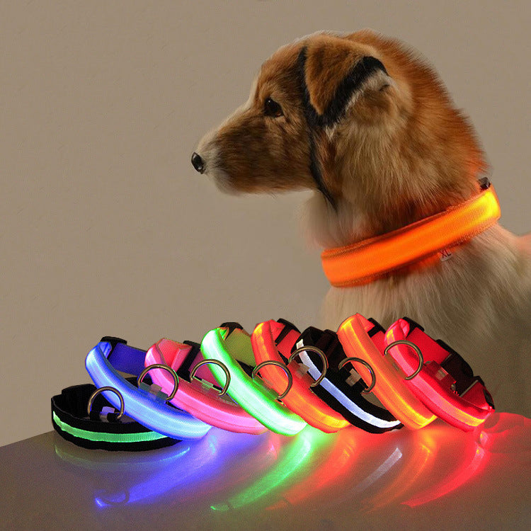 LED Hundehalsband